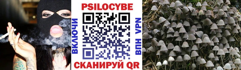 Галлюциногенные грибы Cubensis  Светлый 